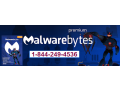 all-your-malwarebytes-problems-resolved-on-phone-small-0