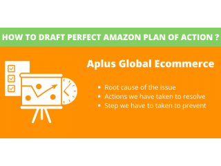 Amazon Plan Of Action