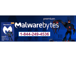 All your Malwarebytes problems resolved on phone